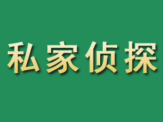 兴文市私家正规侦探